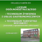 zsp2012m